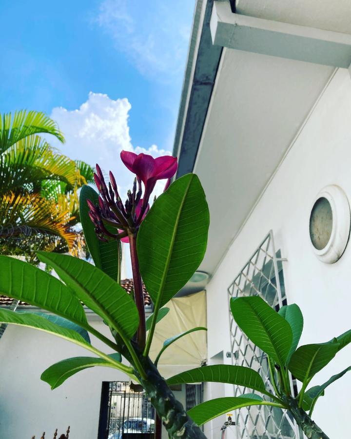 Villa Casa Vintage, Tranquilidade No Prado Belo Horizonte Exterior foto